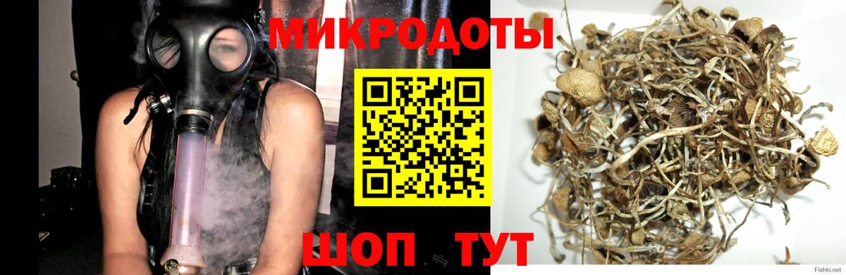 Псилоцибиновые грибы прущие грибы  Псилоцибиновые грибы Psilocybine cubensis  Калач-на-Дону  Вход с VPN 